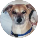 Jayne Baker profile picture